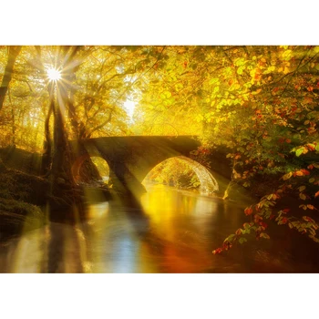 

Autumn Golden Sunshine Stone Bridge River Tree Nature Photography Backdrop Background For Kid Baby Portrait Photo Studio Props