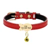 Cute Cat Personalized ID Collar Engraved  Kitten Puppy Name Collars Necklace For Small Medium Cats With Bell Fish Tag Nameplate 4
