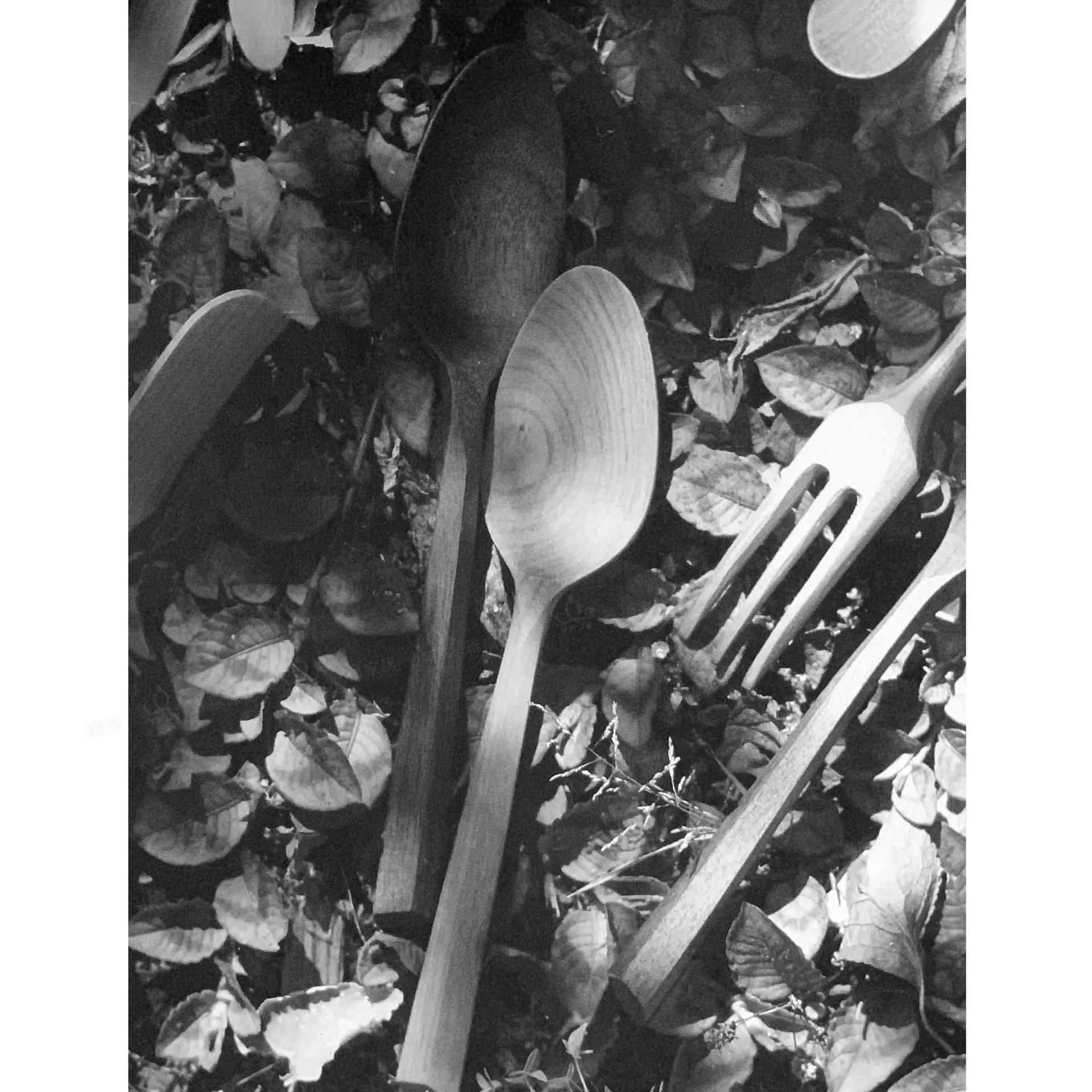 Early Bird Price zhu shi shao Spaghetti Fork Western Tableware Knowledgeable People over Here