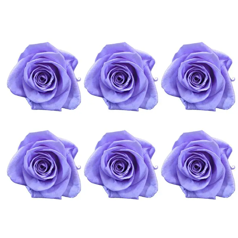 Rose Forever Rose Anniversary Day Gift Preserved Rose Birthday Gift Fresh Flower 634E