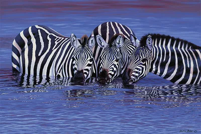 puzzle1000 Zebras в водной бумаге, 1000 шт., головоломка, Африканские животные, головоломка, головоломка для взрослых, головоломка, тренажер для мозгов, игрушки для детей, подарок для детей - Цвет: puzzle1000