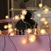 Dandelion LED Fairy lights battery light garden terrace Special party Christmas decor string lights For Home Indoor Lighting ► Photo 3/6