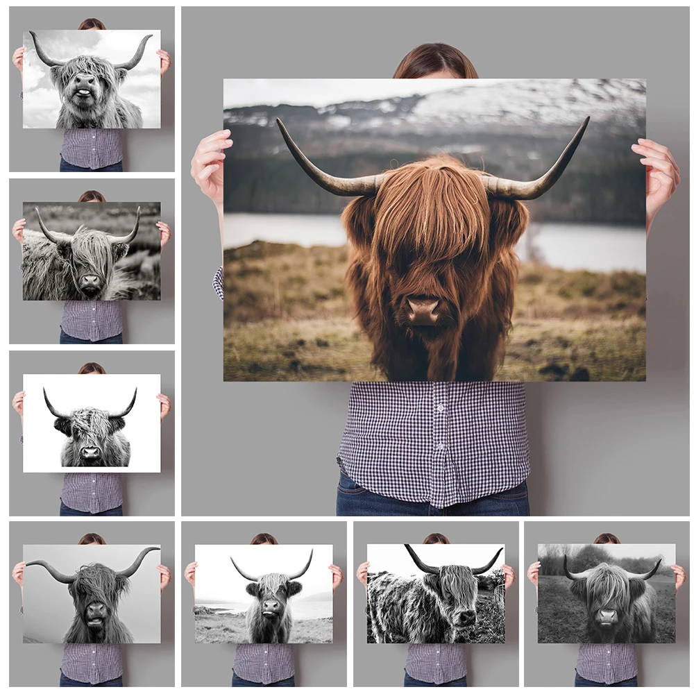 

Nordic Style Black and White Highland Cow Poster Canvas Painting Print Room Wall Art Decoration Mural Modern Home Decor No Fram