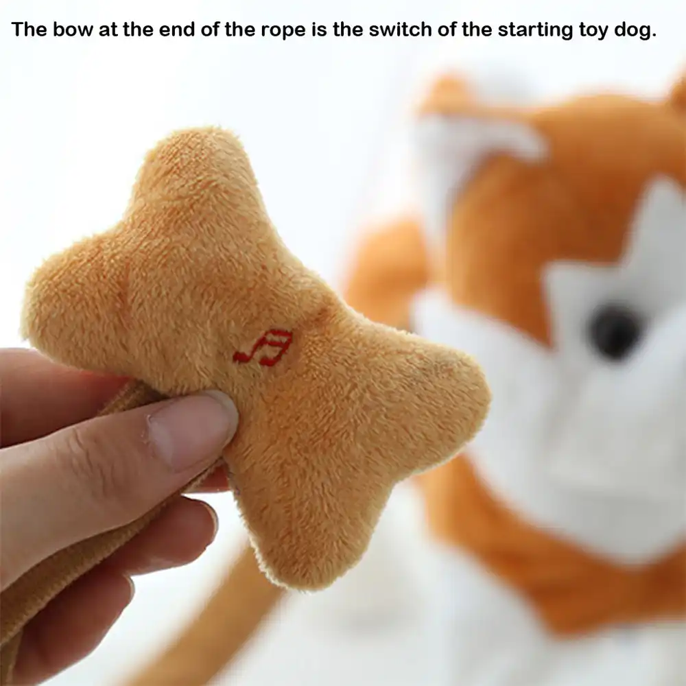 dancing dog toy on leash