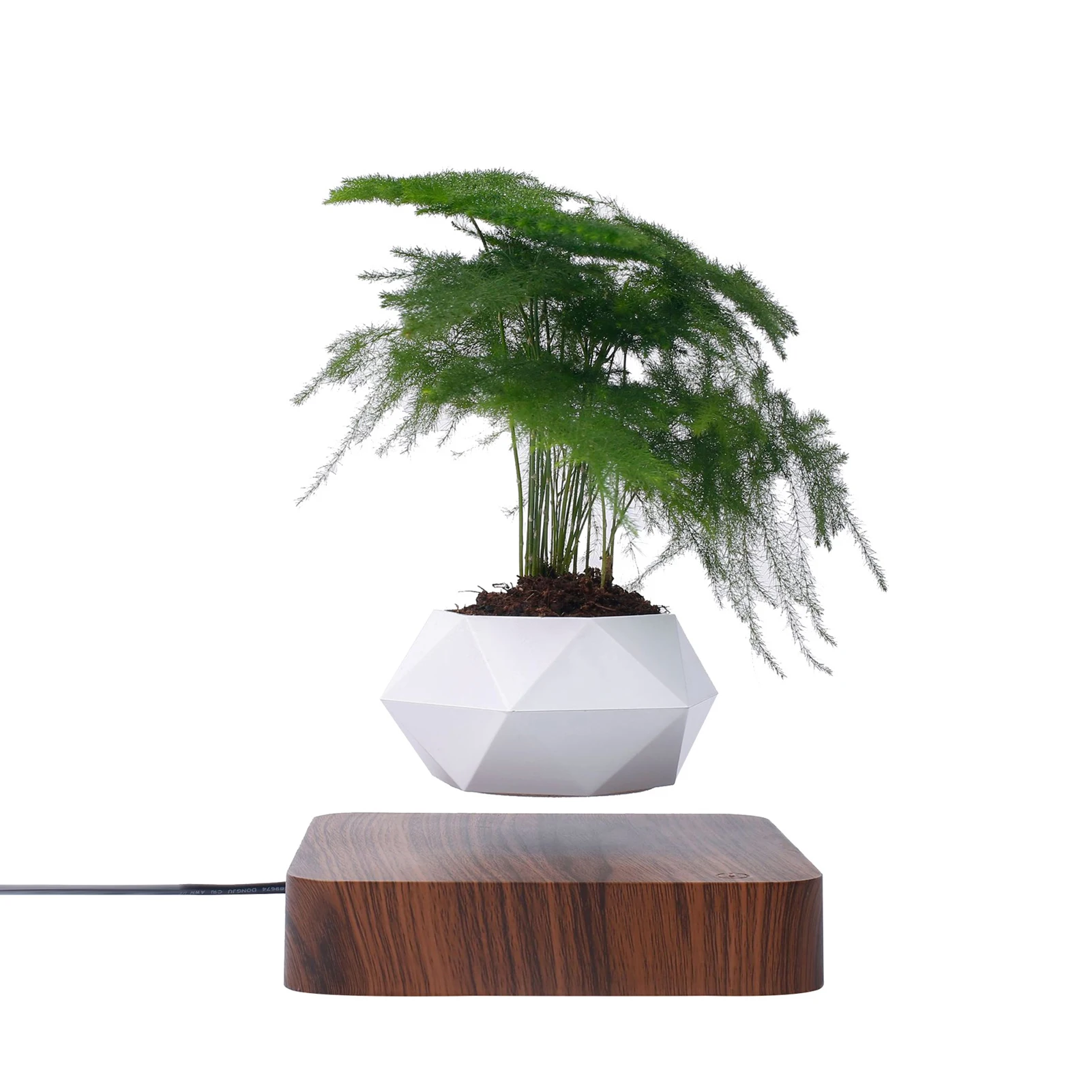 

Levitating Air Bonsai Pot Magnetic Suspension Flower Pot Plant Pot Succulent Pot Patio Home Decor Desktop Green Plant Flower Pot