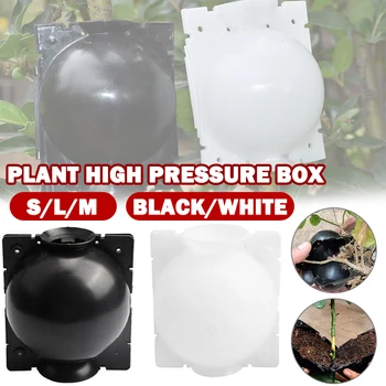 

Plant Rooting Ball Grafting Rooting Growing Box Breeding Case For Garden Grafting Rooting Growing Box 5/8/12 cm 1/2pcs