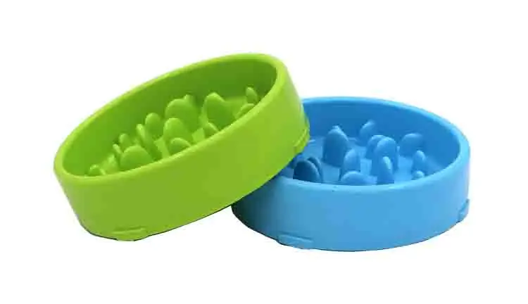 12625704497_1539285801