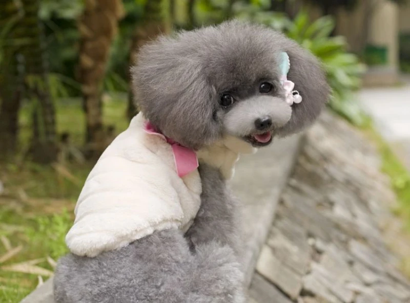 HTB1NDwqJpXXXXcnXXXXq6xXFXXXz