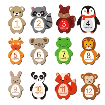 

1-12 Months Baby Monthly Milestone Sticker Baby Photography Props Photo Stickers Accessories Season Sale