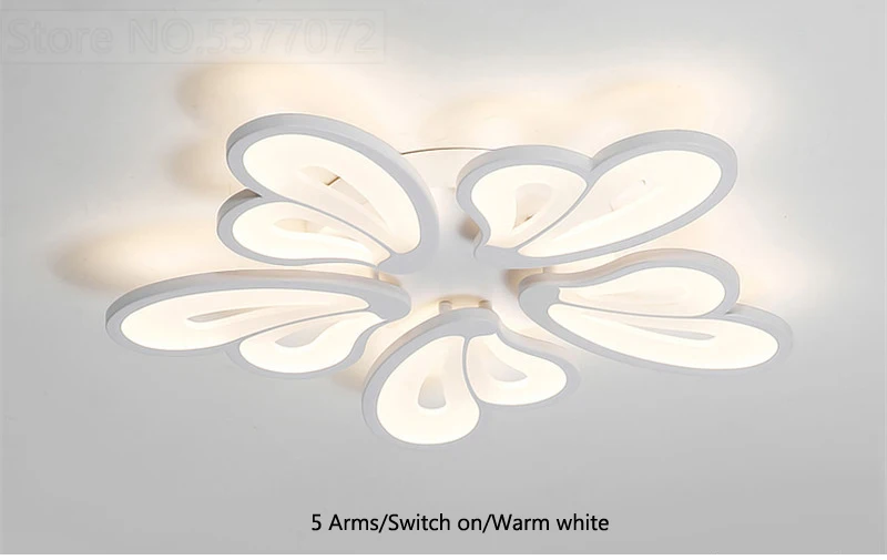 ceiling light for living room (29)