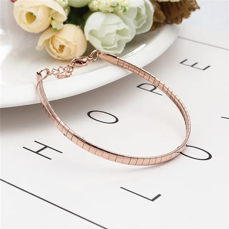 New 304 Stainless Steel Snake Chain Bracelets Rectangle Rose Gold Silver Color For Women Men Jewelry Gifts 18.5cm long, 1 PC - Image 6