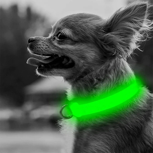 Adjustable LED Dog Collar Luxury Designer Anti-Lost/Avoid Car Night Safety Pet Luminous Collar Light Flashing Collar 1
