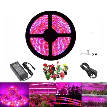 

LED Plant Light 12v Plant Light Strip Set 5050 Three Red One Blue 60 Lamp Bead Plant Light Belt For Plant Growth Fill Light