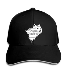 Бейсбольная кепка Зима идет Doge wow такой снег snapback gifPrint шляпа snapback бейсболки