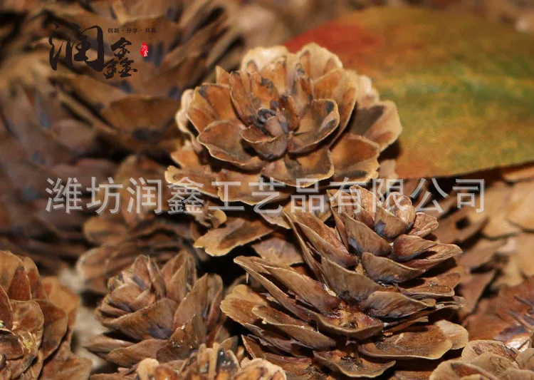 Entirely Natural Preserved Egg Pinecone Christmas Decorations Creative Decoration Pendant Filming Props Dried Flower