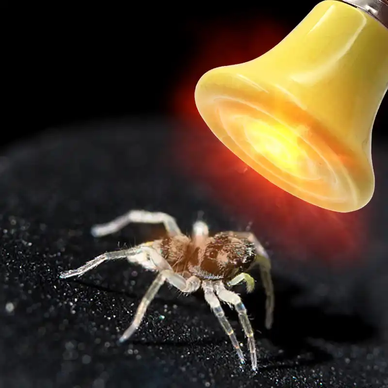 E27 pet lâmpada de aquecimento mini infravermelho cerâmica emissor calor bulbo animais estimação tartaruga aquecimento caixa luz mais quente lâmpadas 60 w/90 w