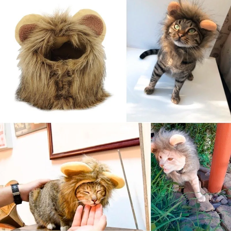 lion costume dog.jpg_.webp