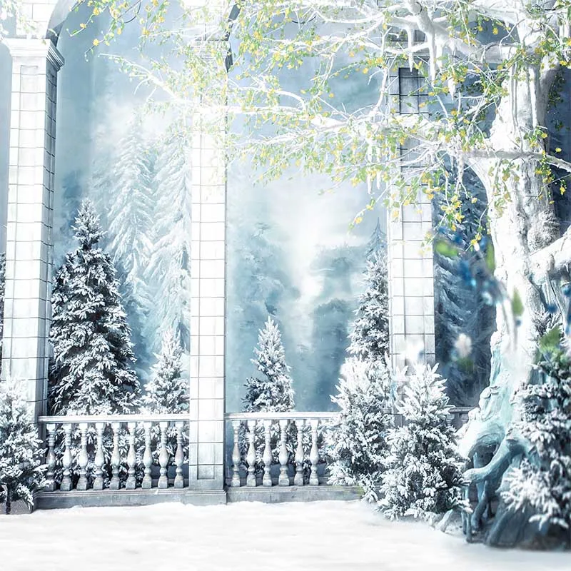 Vinyl Photography Background Computed Printed Vintage Castle Wedding Children Snow Backgrounds for Photo Studio CM-7188 | Электроника