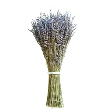

100 Sticks Beautiful Natural Lavender Bouquet Dried Flowers Immortal Flower Decorative Garden Living Room Decor