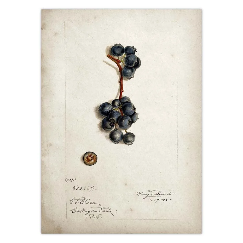 Hcb4a272960804bbc9a870b8f44218955P