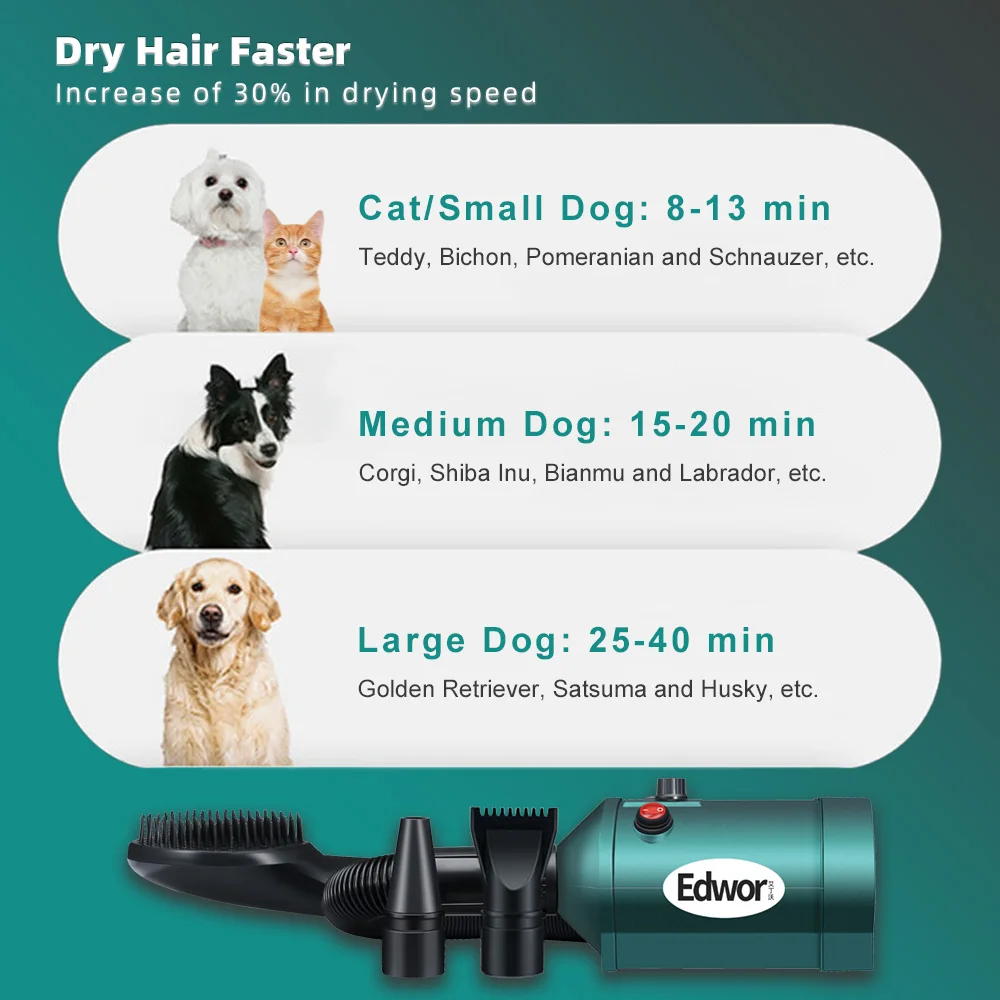 3 IN 1 Mini Dog Hair Dryer For Small Medium Dogs Cat Grooming Brush High Velocity Pet Blower Adjustable Speed Blow Dryer Heater