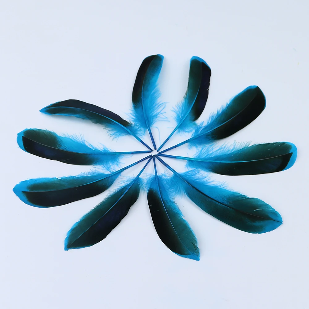 6 lake blue duck feather 1