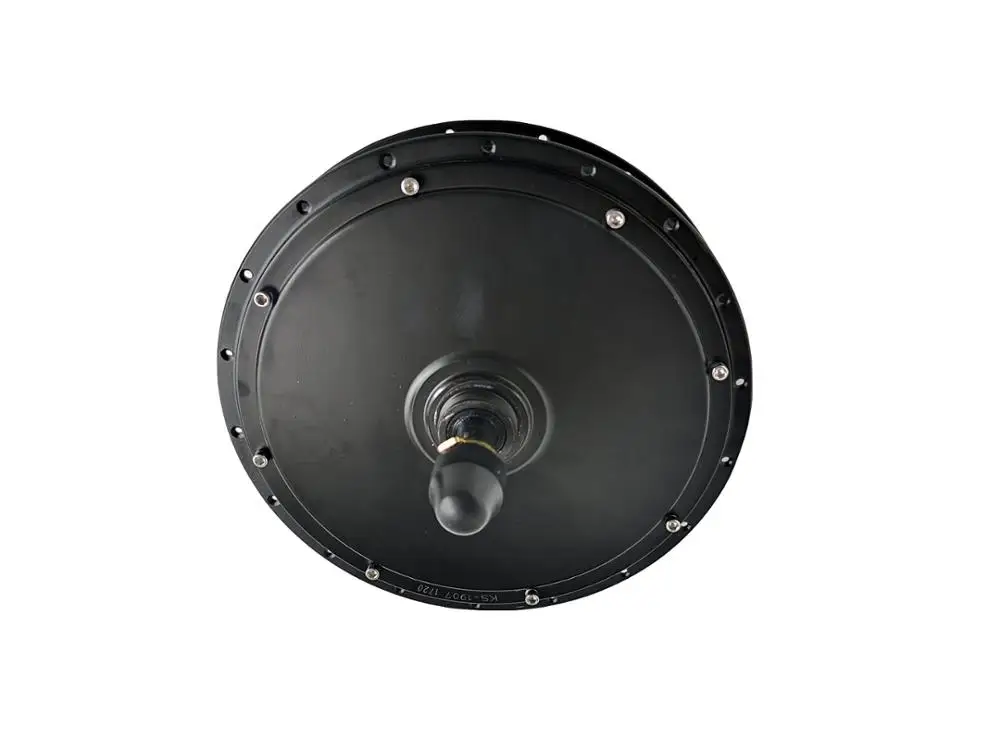 Sale High Quality E-bike spoke motor 48Volt 1000W Brushless DC Hub Motor for Rear Wheel E-bike/Electrical Bicycle 5