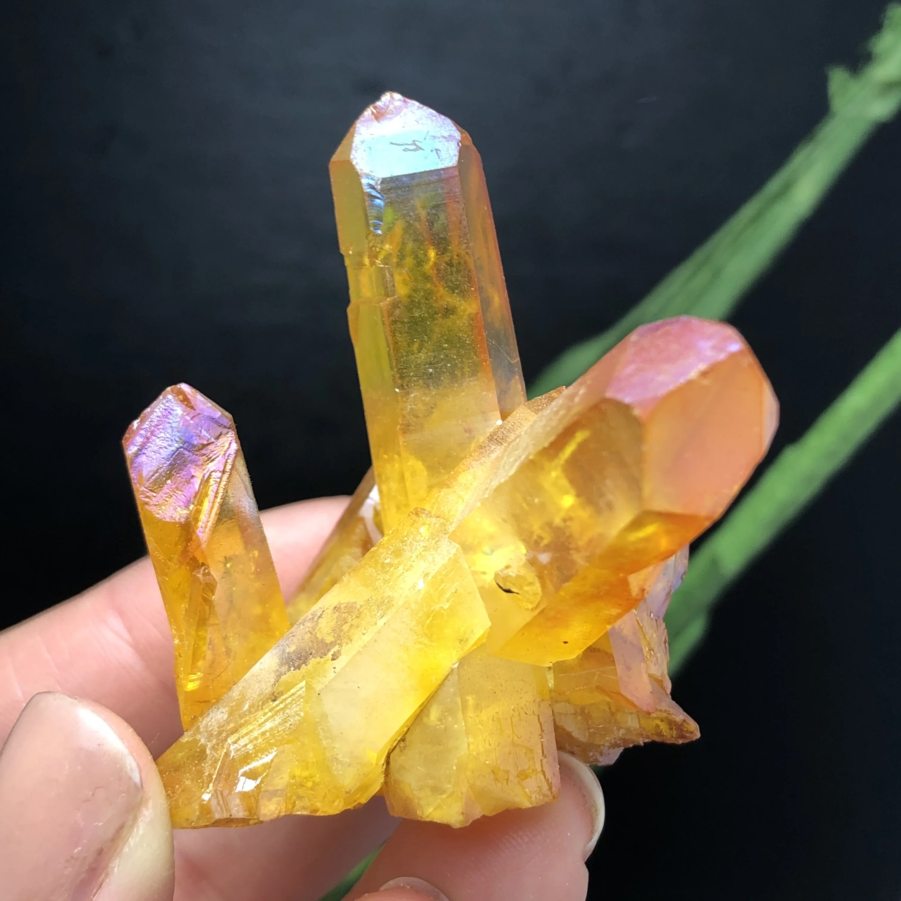 Красивый кристаллический кластер Aura Angel Titanium образец кристалла кварца минералы