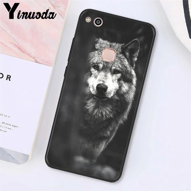 angry Animal wolf Face