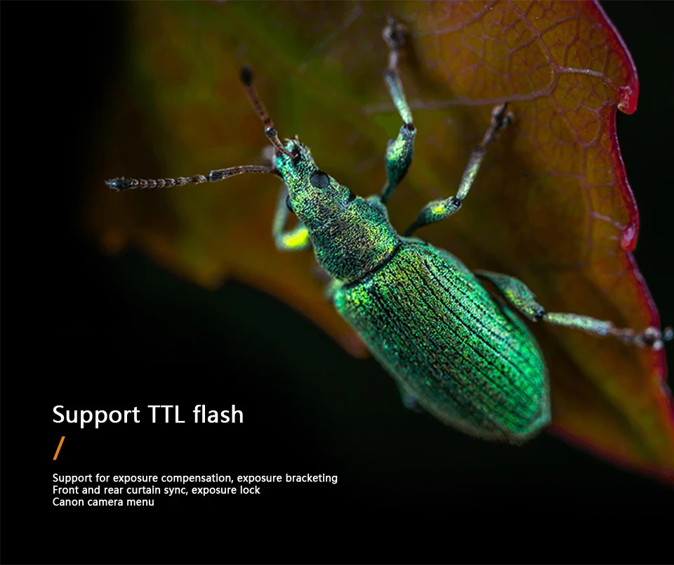 YONGNUO YN24EX YN24 EX Кольцевая вспышка для макросъемки E-TTL Вспышка Speedlite с 2 шт. головками для вспышки 4 шт. переходные кольца для камер Canon EOS