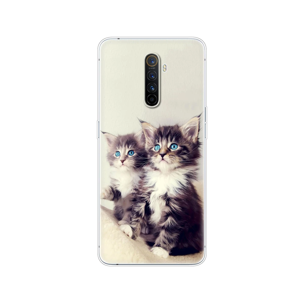 Cat Dog Cartoon Cute|Бамперы| |