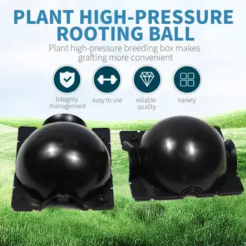

1/5 Pcs Balcony Wall Plant Propagation Box Plant Beautiful Creative Plant High Pressure Box Economic Decoration Rooting Ball