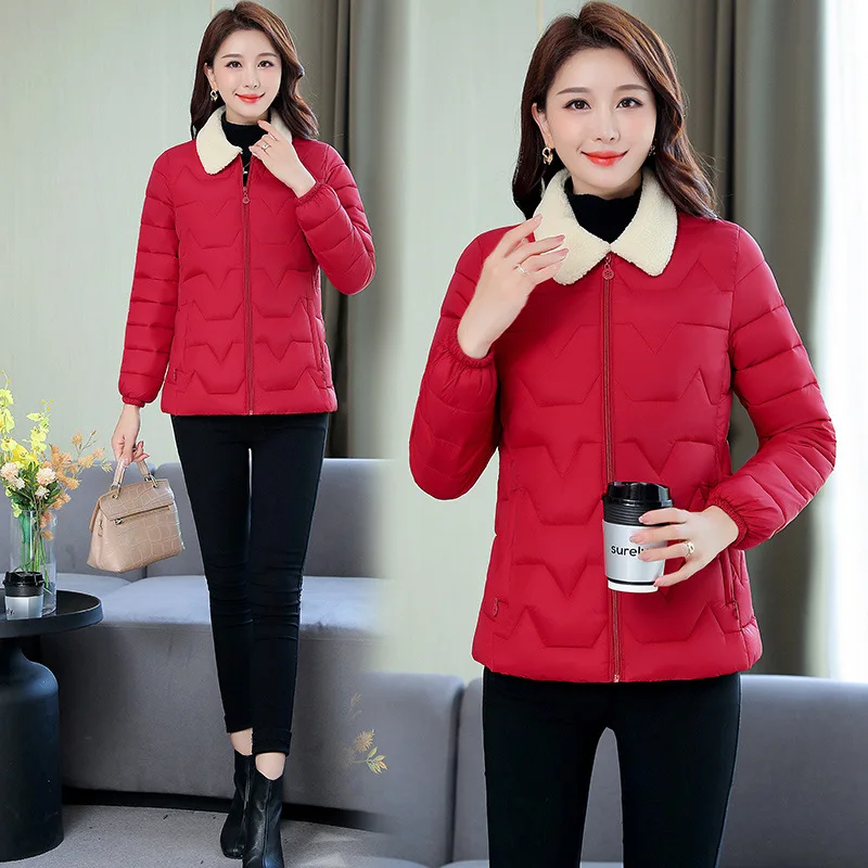 Рисунок 4 - Зимнее пальто, женская куртка