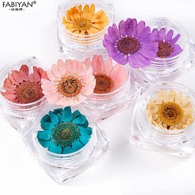 

6 Pot Nail Art Dry Flower Petal Dried Natural Decorations DIY Design Real Decal 3D Stickers Tips UV Gel Polish Tool Manicure Set