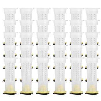 

Beekeeping Cup Kit-Cage Beekeeping Equipment Bee Cage Holder Fixture, 30 Pieces (Size: 30 x Cage Beekeeper)