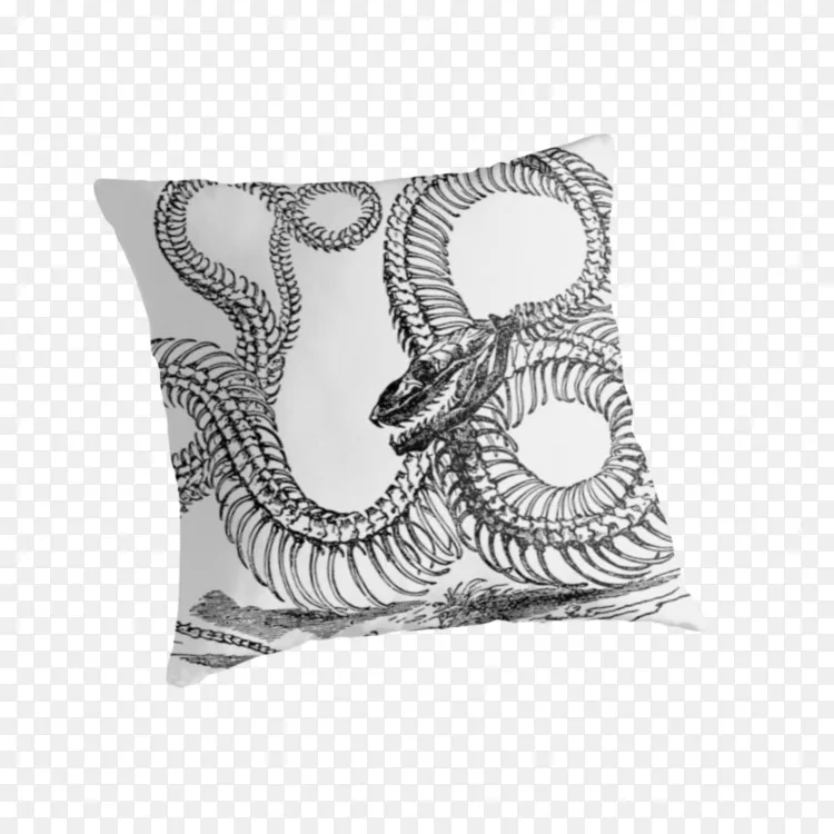 蛇骨蛇png图片素材免费下载 图片编号 Png素材网