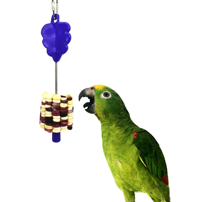 Stainless Steel Meat Food Holder Stick Fruit Skewer Bird Treating Tool Parrot Toy Cage Accessories