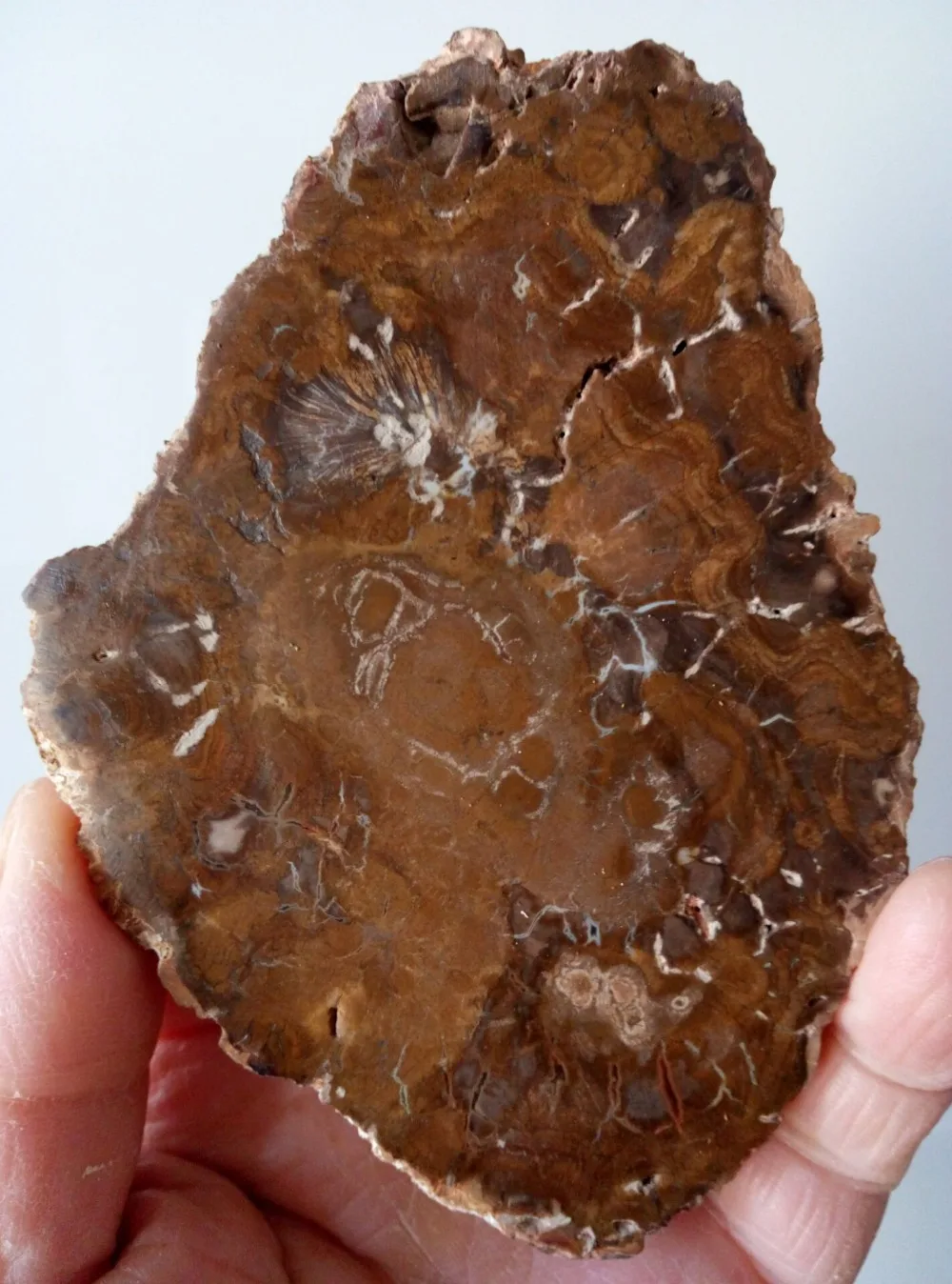 QQ图片20200218093402