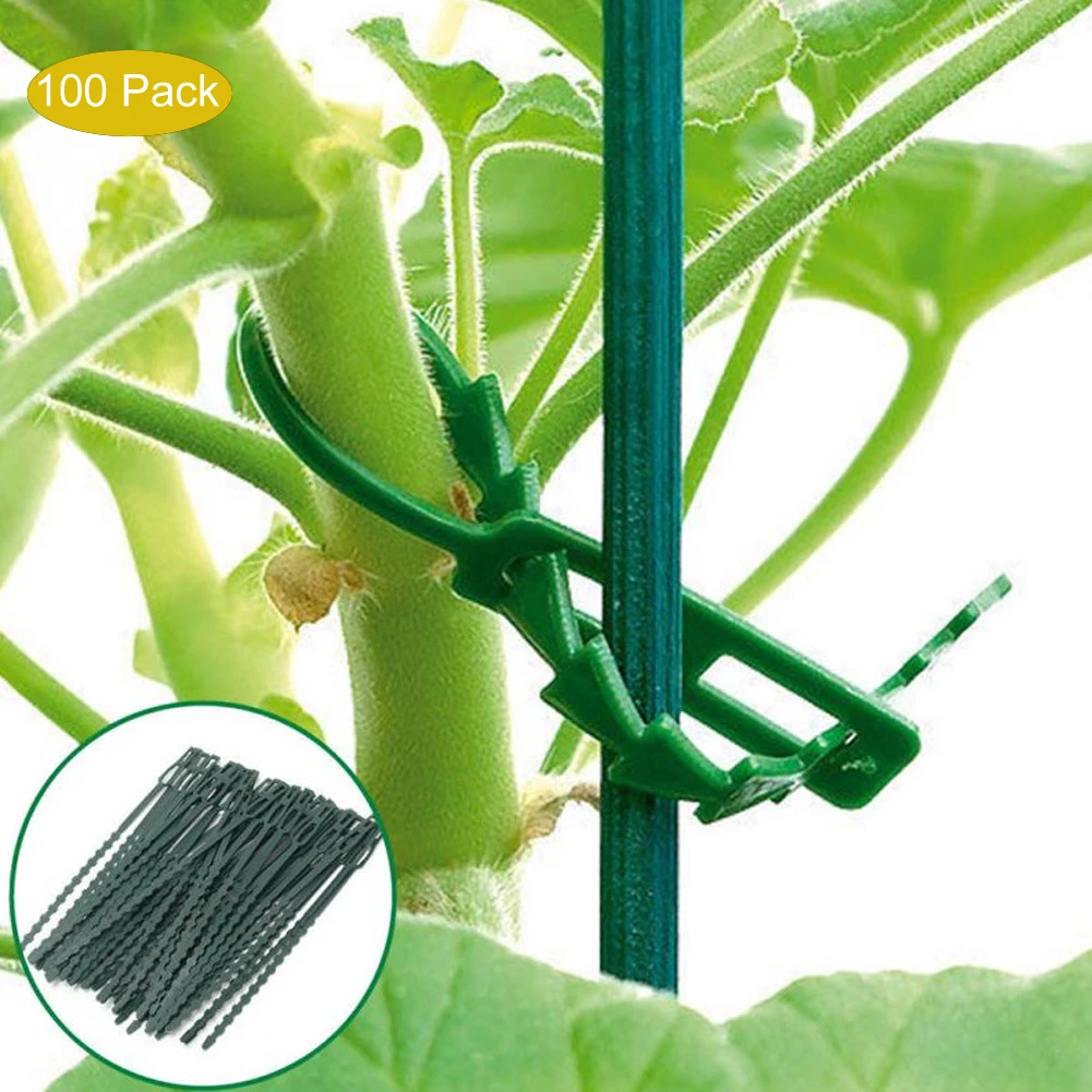 50/100/200PCS Adjustable Plastic Plant Cable Ties Reusable Cable Ties Greenhouse Grow Kits for Garden Tree Climbing Support
