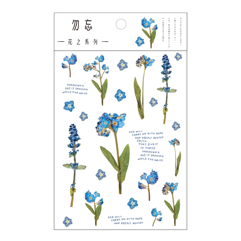 Myosotis Mr. paper 12 видов конструкций, натуральные маргаритки клевер, японские наклейки со словами, прозрачные ПЭТ материалы, цветы, листья, растения, декоративные наклейки - Цвет: Myosotis