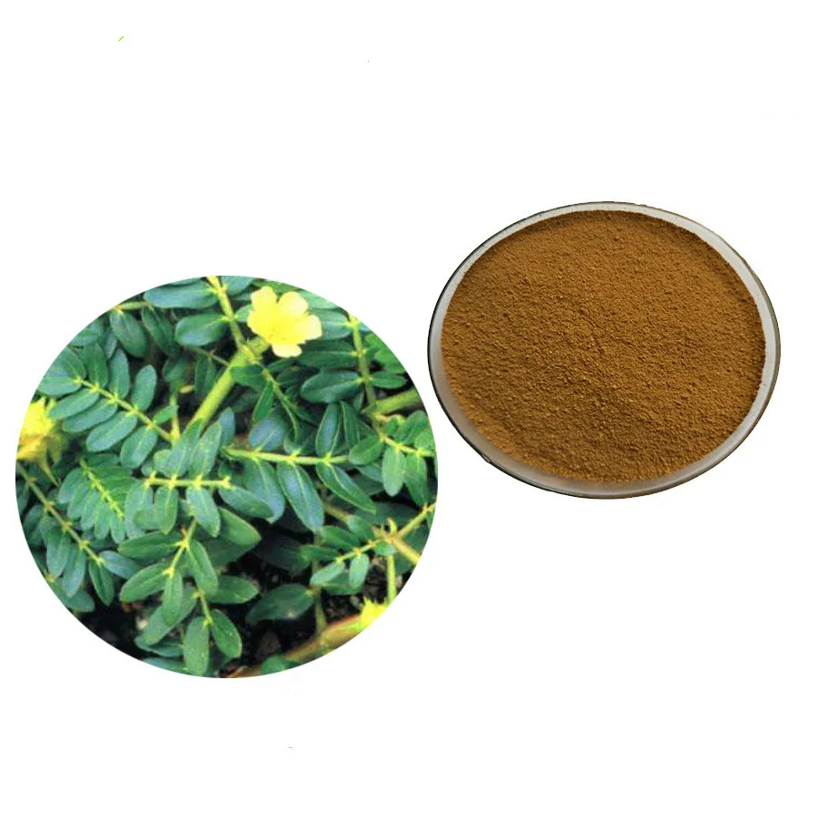 

50g-1000g 90% saponins Tribulus Terrestris Extract Powder health care Lowering blood pressure, anti-aging, improving immunity