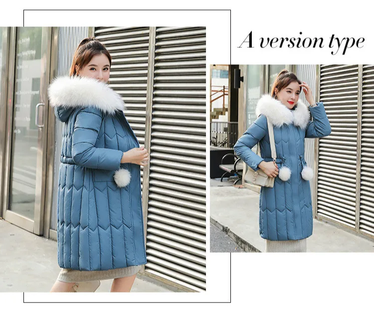 Cotton_03.jpg