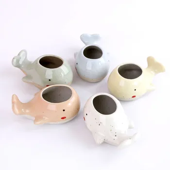 

Cartoon Whale Flowerpot Succulent Planter Pots Animal Craft Desktop Cactus Flower Pot Fairy Garden Decor