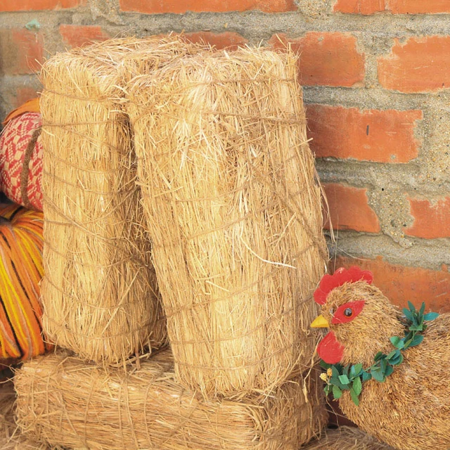 Fall, Harvest 13-inch Decorative Natural Straw Bale, Way to