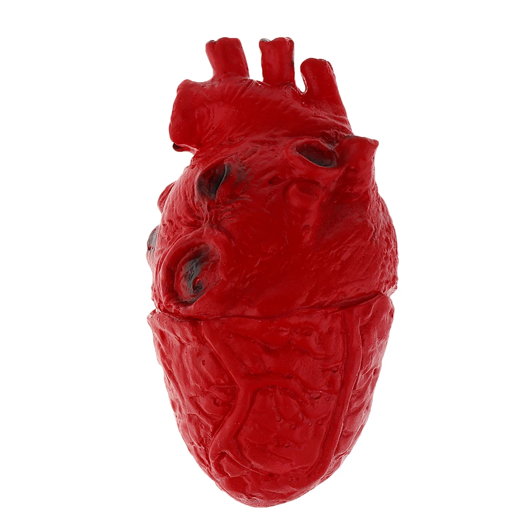 HUMAN HEART--Chop Shop Body Part Organ Halloween Horror Prop Decorations
