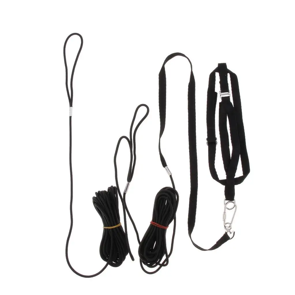 Adjustable Bird Harness 8 Meters For Parrot Budgerigar Macaws Finches Canary