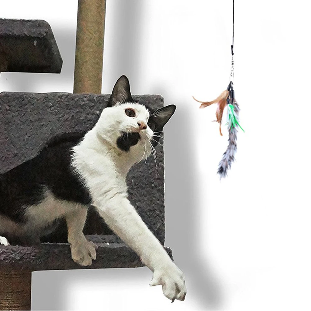 10 шт. Pet Дразнилка для кошек растягивающийся палочка стержень перо сенными головками для нетоксичных играть игрушечный поезд кошки более чувствительной