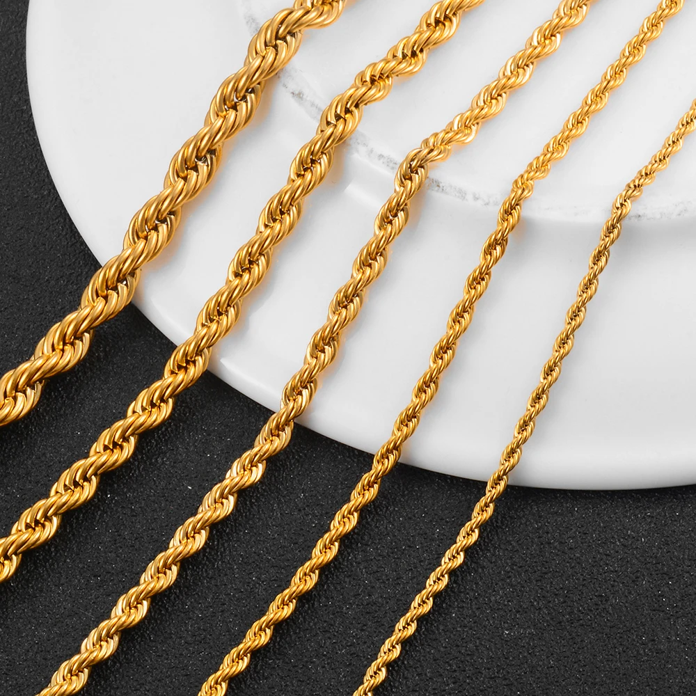 Width 2/4/6mm Stainless Steel Gold Rope Chain Necklace Statement Swag