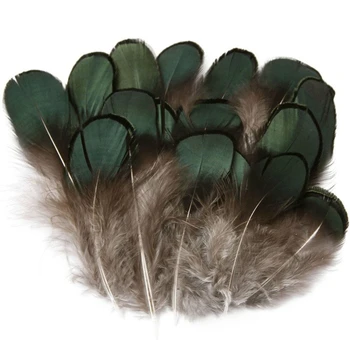 

Natural Green Lady Amherst Bronze Iridescent Plumage Feathers for Crafts 5-8CM Feathers for Jewelry Making Carnaval Assesoires