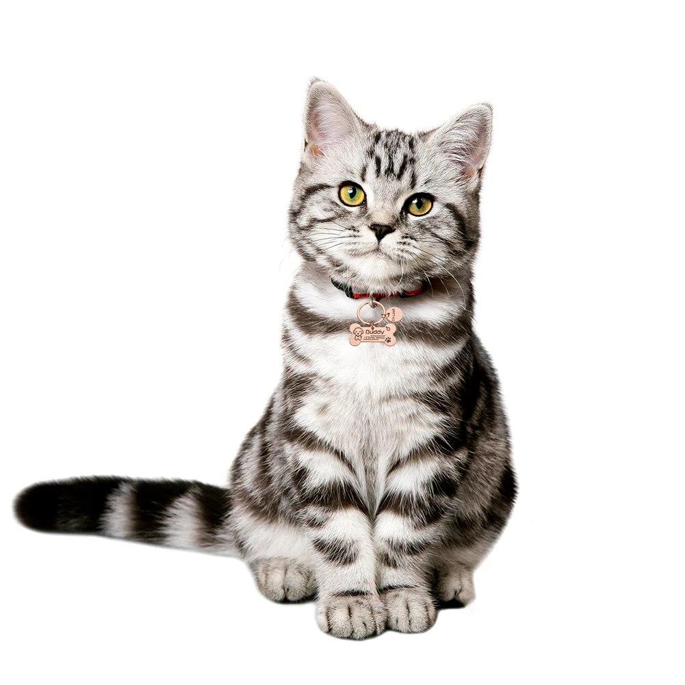 H453c8dba6a3b49ff8887914d696ff29ct